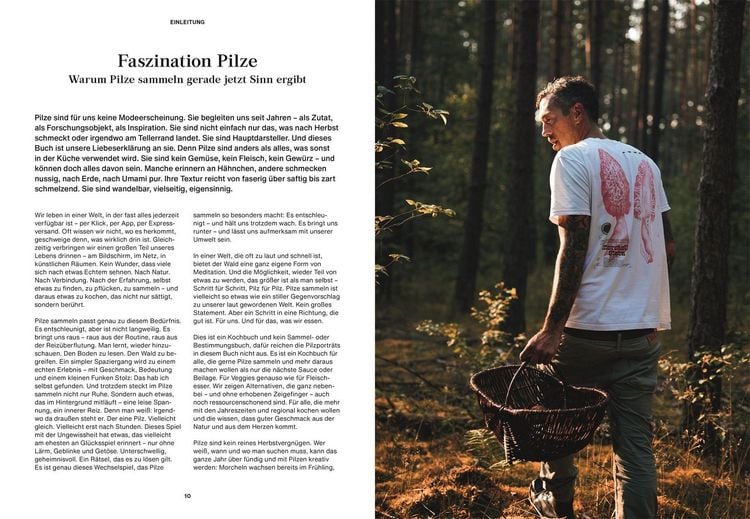 Produktbild: Pilze, Pilze, Pilze