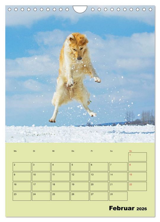Produktbild: Jahresplaner Golden Retriever (Wandkalender 2026 DIN A4 hoch), CALVENDO Monatskalender