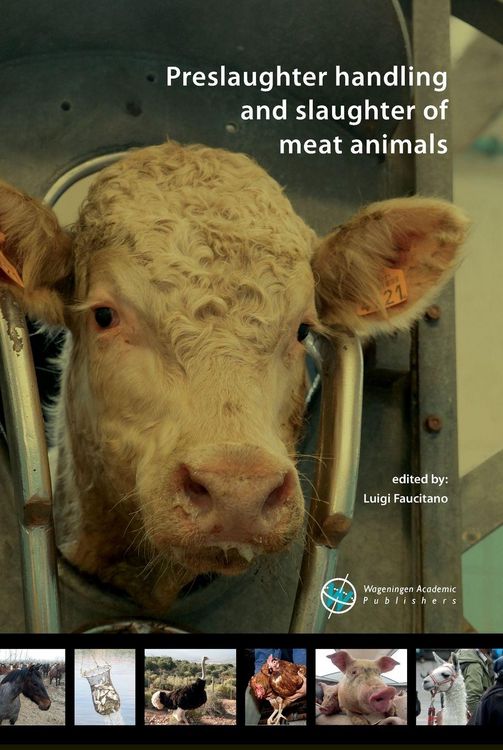 Produktbild: Preslaughter Handling and Slaughter of Meat Animals
