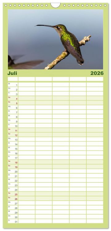 Produktbild: Familienplaner 2026 - Zauberhafte Kolibris in Costa Rica mit 5 Spalten (Wandkalender, 21 x 45 cm) CALVENDO