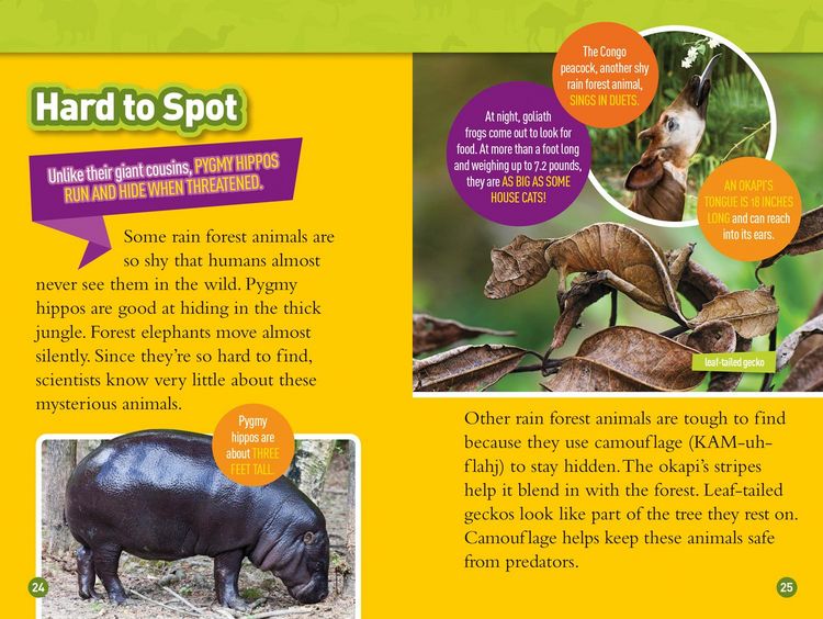 Produktbild: Roar! (National Geographic Kids Readers, Level 3/Fact Reader)