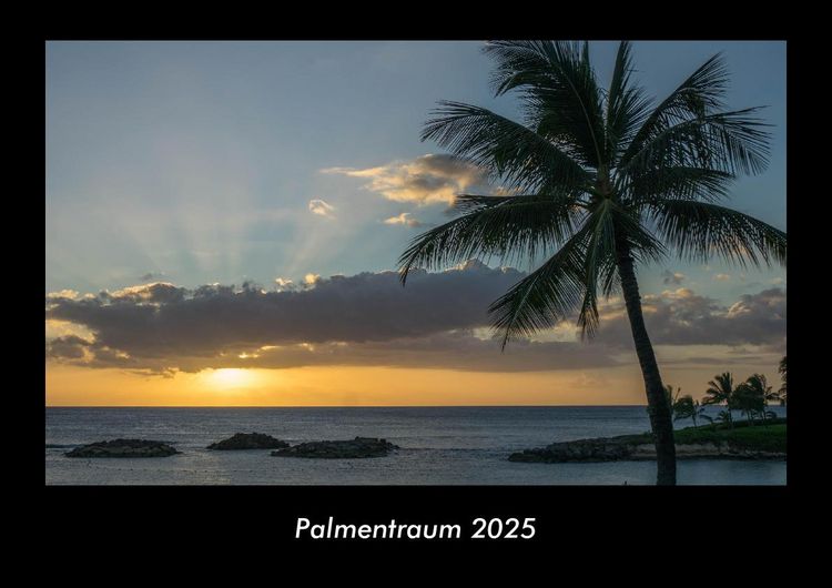 Produktbild: Palmentraum 2025 Fotokalender DIN A3