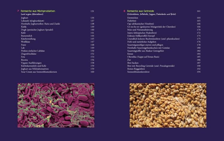 Produktbild: Die Fermentier-Bibel