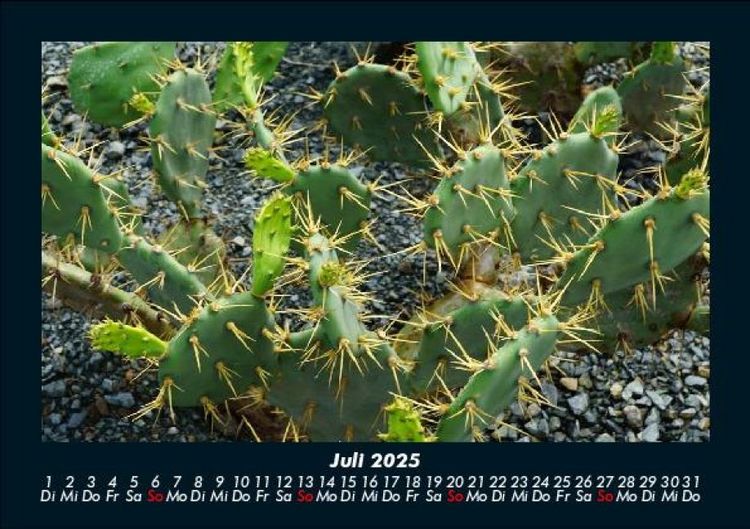 Produktbild: Naturlandschaften 2025 Fotokalender DIN A5