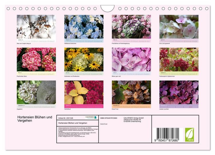 Produktbild: Hortensien Bl&uuml;hen und Vergehen (Wandkalender 2026 DIN A4 quer), CALVENDO Monatskalender