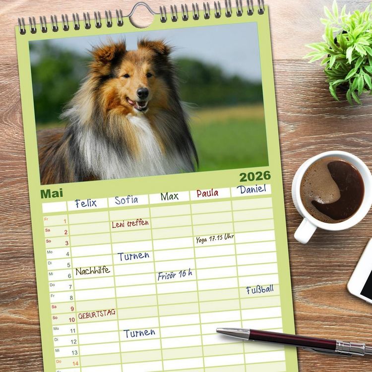 Produktbild: Familienplaner 2026 - Sheltie 2026 mit 5 Spalten (Wandkalender, 21 x 45 cm) CALVENDO