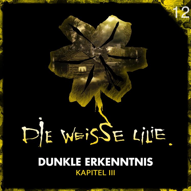 Produktbild: 12: Dunkle Erkenntnis - Kapitel III