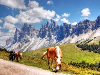 Produktbild: CALVENDO Puzzle Geisler Spitzen Nordw&auml;nde von der Rasch&ouml;tzalpe - Gr&ouml;den | 1000 Teile Lege-Gr&ouml;&szlig;e 64x48cm Foto-Puzzle f&uuml;r gl&uuml;ckliche Stunden