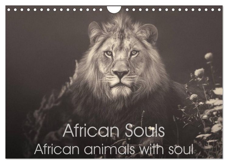 Produktbild: African Souls African animals with soul (Wall Calendar 2026 DIN A4 landscape), CALVENDO 12 Month Wall Calendar
