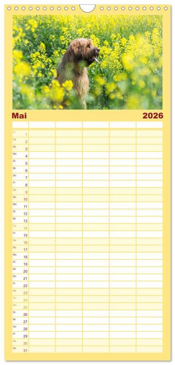 Produktbild: Familienplaner 2026 - Der Briard - Ein echter Charmeur mit 5 Spalten (Wandkalender, 21 x 45 cm) CALVENDO