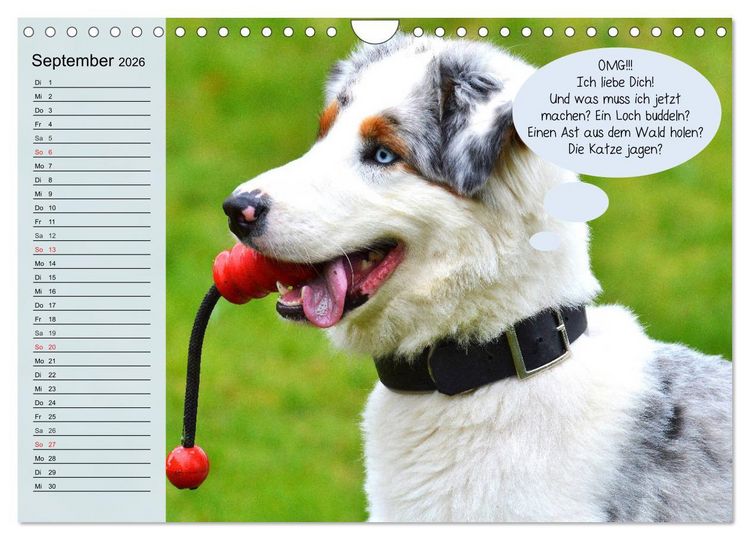 Produktbild: Hurra! Wir gehen Gassi! Abenteuer mit dem Hund! (Wandkalender 2026 DIN A4 quer), CALVENDO Monatskalender