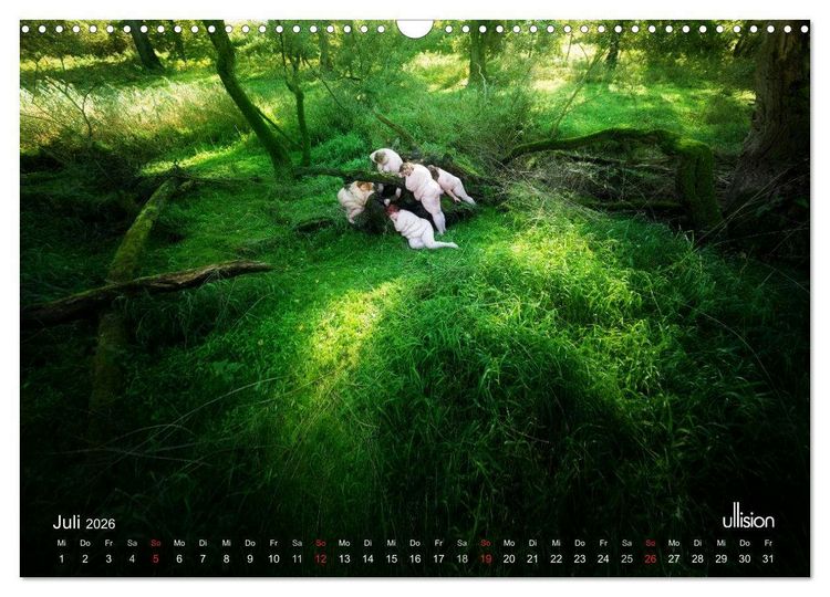 Produktbild: Mothers of Earth, das Leben kann soo prachtvoll sein ! (Wandkalender 2026 DIN A3 quer), CALVENDO Monatskalender