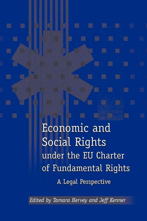 Produktbild: Economic and Social Rights Under the Eu Charter of Fundamental Rights