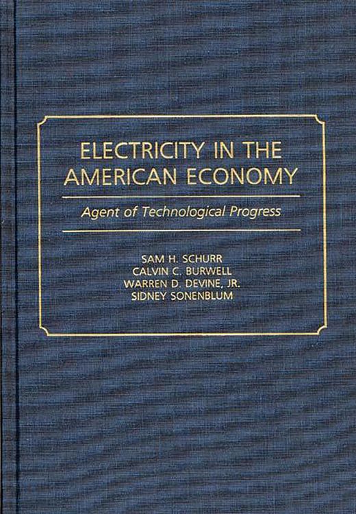 Produktbild: Electricity in the American Economy