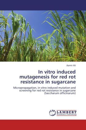 Produktbild: Ali, A: In vitro induced mutagenesis for red rot resistance