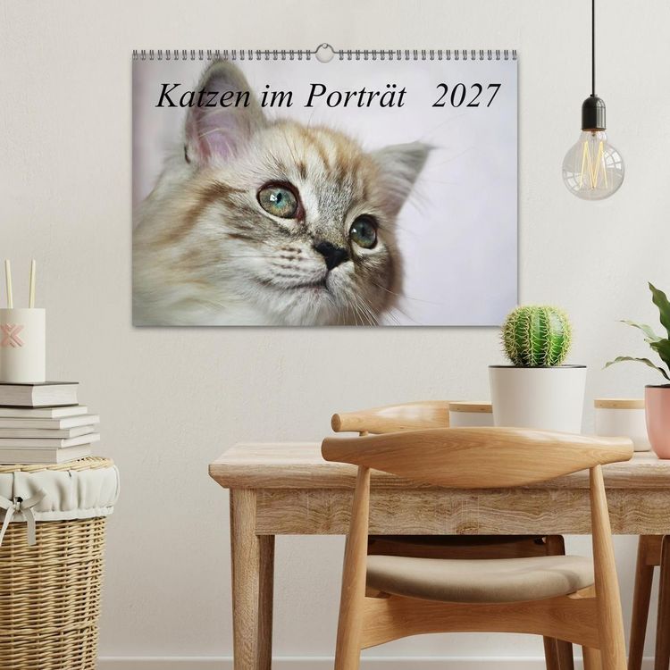 Produktbild: Katzen im Portr&auml;t / Geburtstagskalender (Wandkalender 2027 DIN A3 quer), CALVENDO Monatskalender