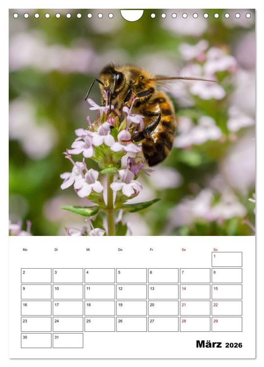 Produktbild: Hummeln und Bienen Terminplaner (Wandkalender 2026 DIN A4 hoch), CALVENDO Monatskalender