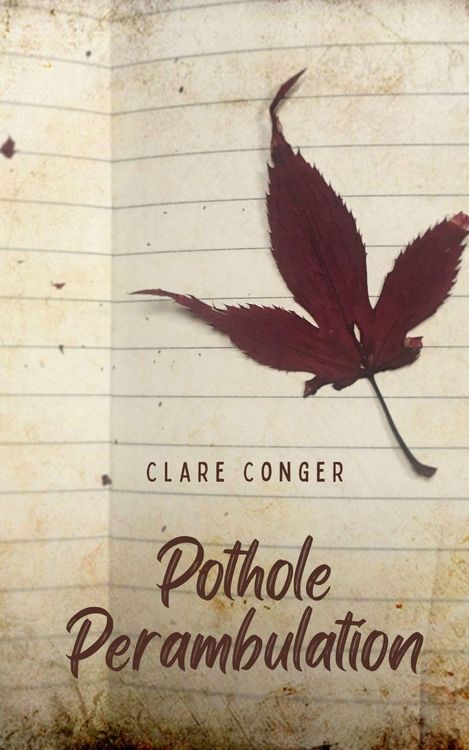 Produktbild: Pothole Perambulation