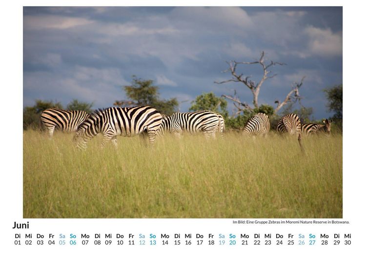 Produktbild: Botswana