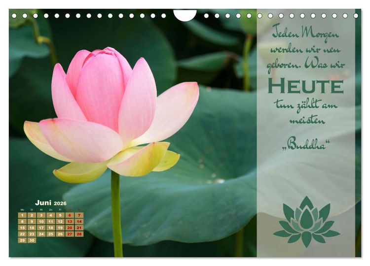 Produktbild: Erleuchtende Worte, Lebensweisheiten von Gautama Buddha by VogtArt (Wandkalender 2026 DIN A4 quer), CALVENDO Monatskalender