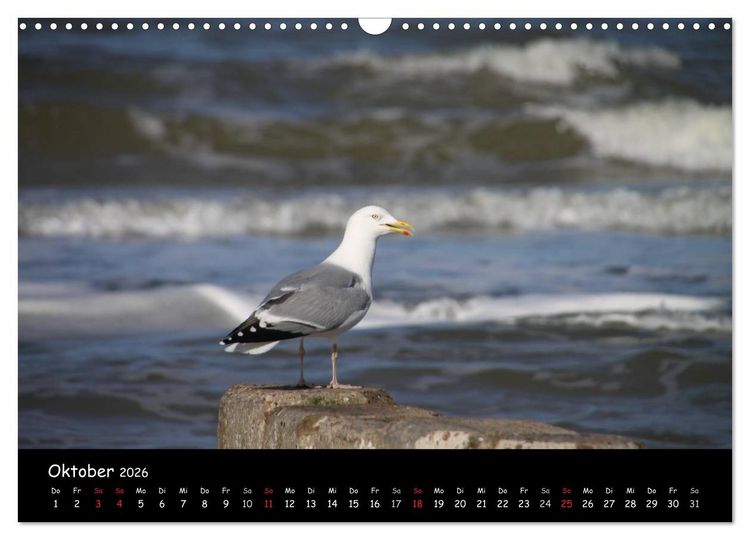 Produktbild: Sylt (Wandkalender 2026 DIN A3 quer), CALVENDO Monatskalender