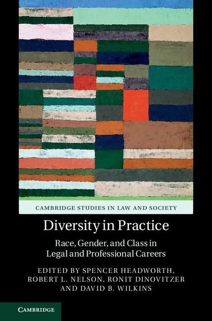 Produktbild: Diversity in Practice