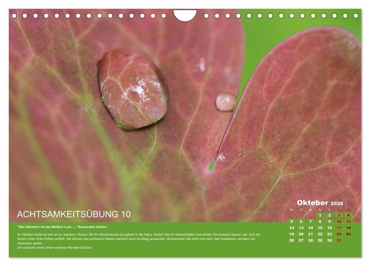 Produktbild: Achtsamkeit, 12 &Uuml;bungen zu mehr Achtsamkeit. (Wandkalender 2026 DIN A4 quer), CALVENDO Monatskalender