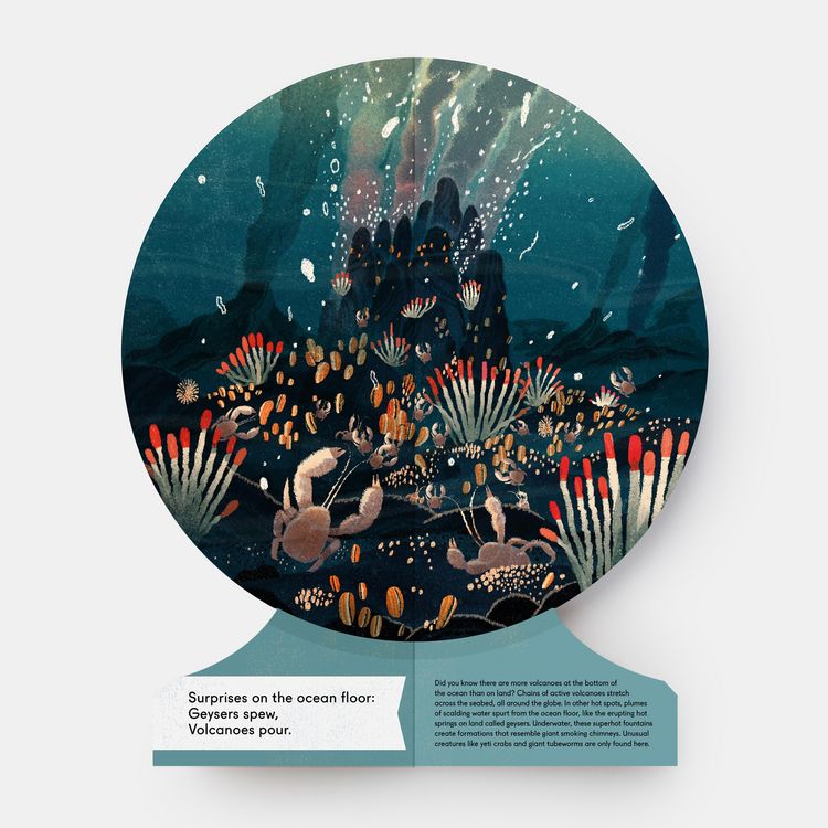 Produktbild: Our Underwater World