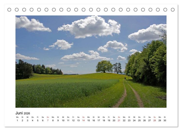 Produktbild: Weingarten und Umgebung 2026 (Tischkalender 2026 DIN A5 quer), CALVENDO Monatskalender