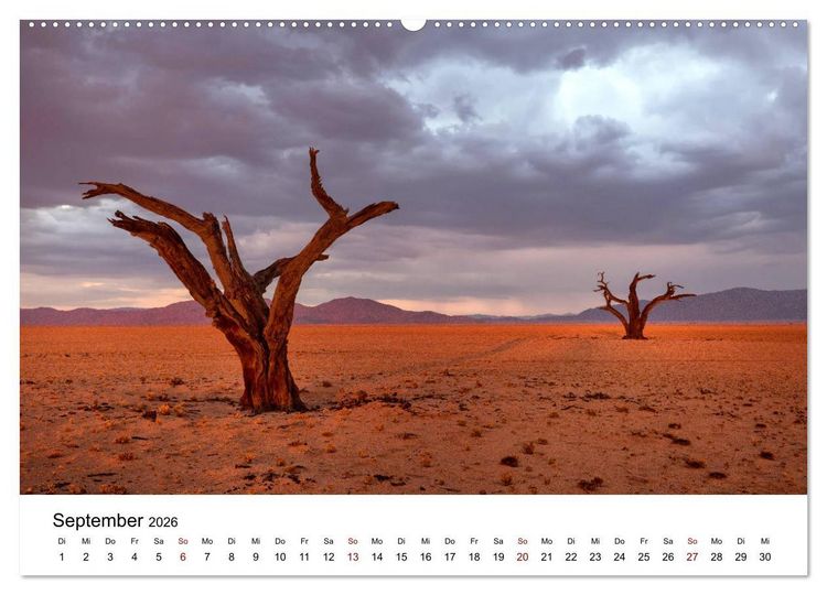 Produktbild: B&auml;ume in Namibias Landschaften (hochwertiger Premium Wandkalender 2026 DIN A2 quer), Kunstdruck in Hochglanz