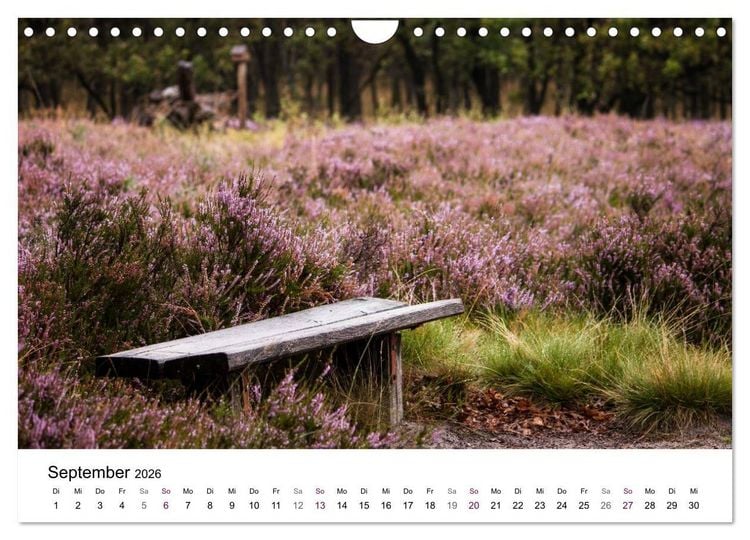 Produktbild: L&uuml;neburger Heide (Wandkalender 2026 DIN A4 quer), CALVENDO Monatskalender