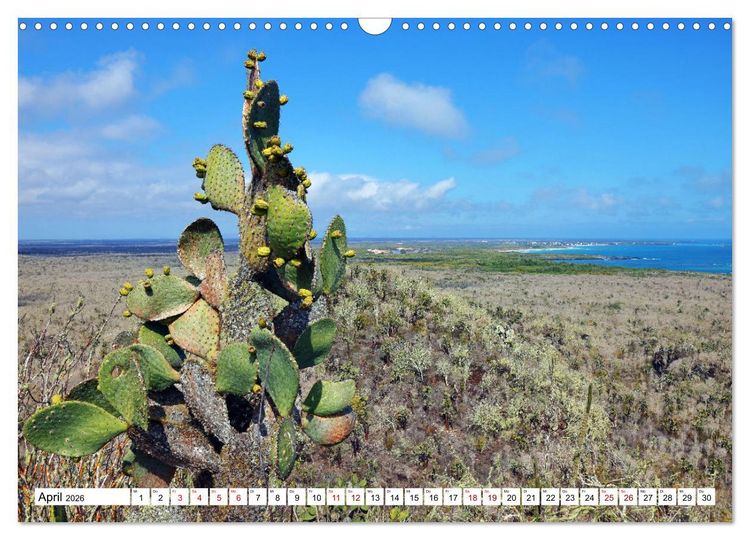 Produktbild: Gal&aacute;pagos - Die verwunschenen Inseln (Wandkalender 2026 DIN A3 quer), CALVENDO Monatskalender