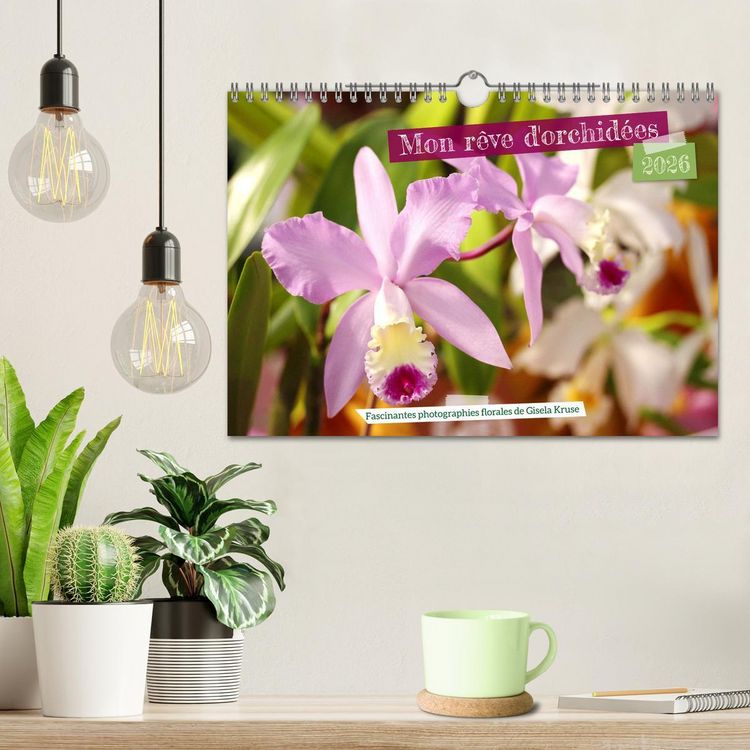 Produktbild: Mon r&ecirc;ve d'orchid&eacute;es (Calendrier mural 2026 DIN A4 vertical), CALVENDO calendrier mensuel