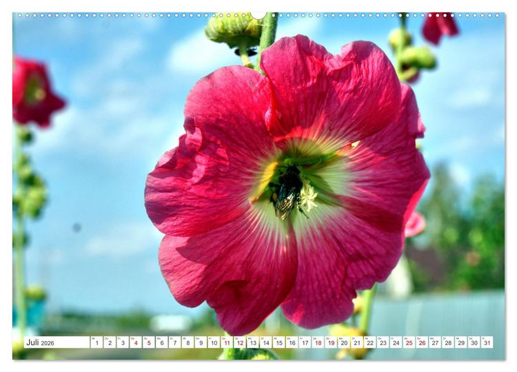 Produktbild: Dorfidylle - Landleben in Russland (hochwertiger Premium Wandkalender 2026 DIN A2 quer), Kunstdruck in Hochglanz