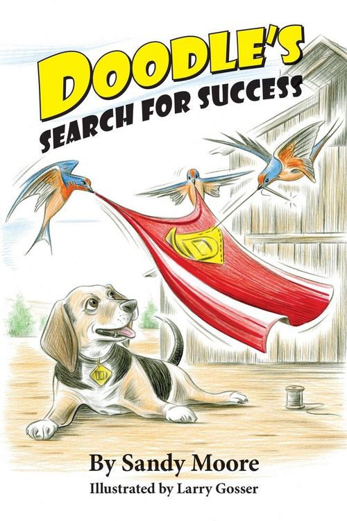 Produktbild: Doodle's Search for Success