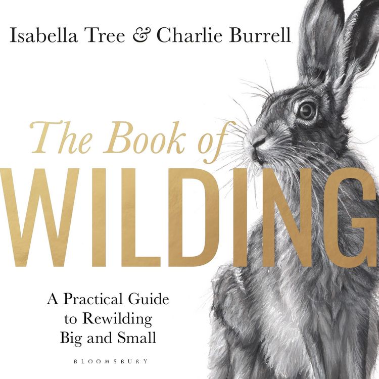 Produktbild: The Book of Wilding