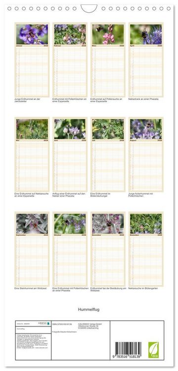 Produktbild: Familienplaner 2026 - Hummelflug mit 5 Spalten (Wandkalender, 21 x 45 cm) CALVENDO