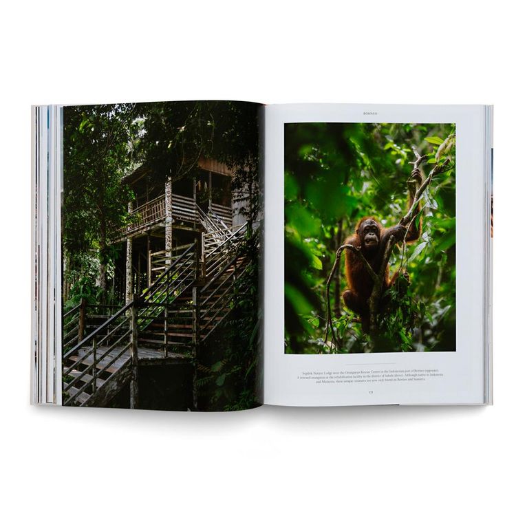 Produktbild: Life on the Road