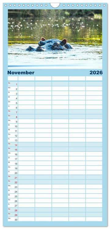 Produktbild: Familienplaner 2026 - Nilpferde, Kolosse in Afrika mit 5 Spalten (Wandkalender, 21 x 45 cm) CALVENDO