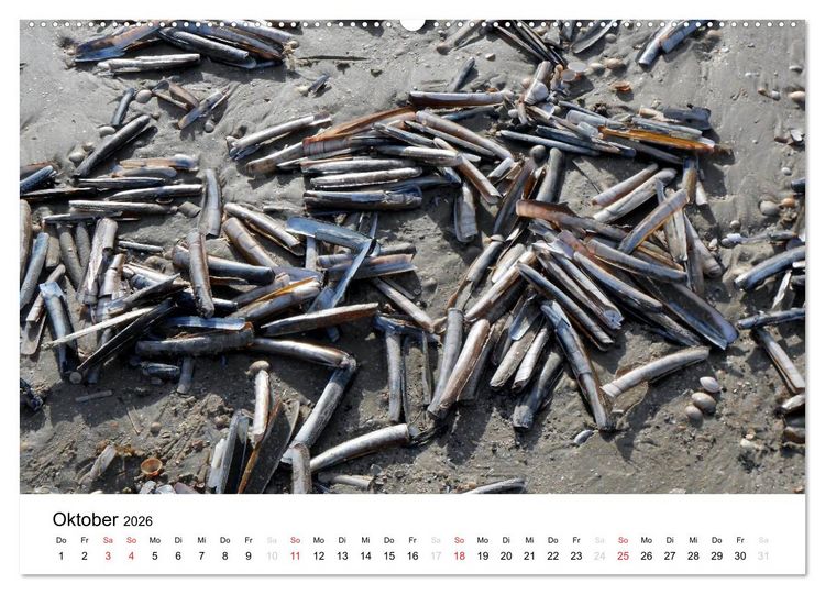 Produktbild: D&auml;nemark - Unterwegs in J&uuml;tland (Wandkalender 2026 DIN A2 quer), CALVENDO Monatskalender