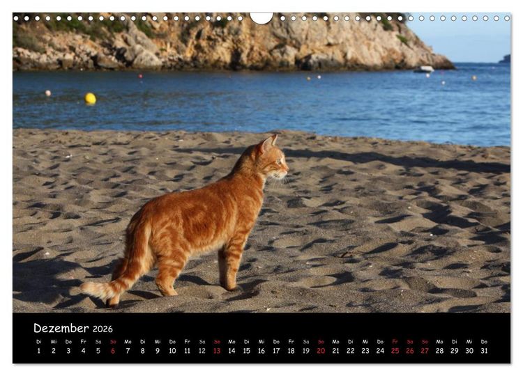 Produktbild: Zauberhaftes Ibiza (Wandkalender 2026 DIN A3 quer), CALVENDO Monatskalender