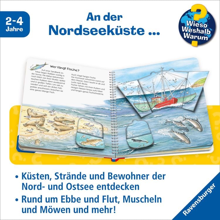 Produktbild: Am Meer / Wieso? Weshalb? Warum? Junior Bd. 17