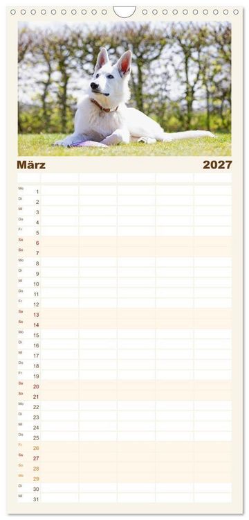 Produktbild: Familienplaner 2027 - Berger Blanc Suisse - Weggef&auml;hrten auf 4 Pfoten mit 5 Spalten (Wandkalender, 21 x 45 cm) CALVENDO
