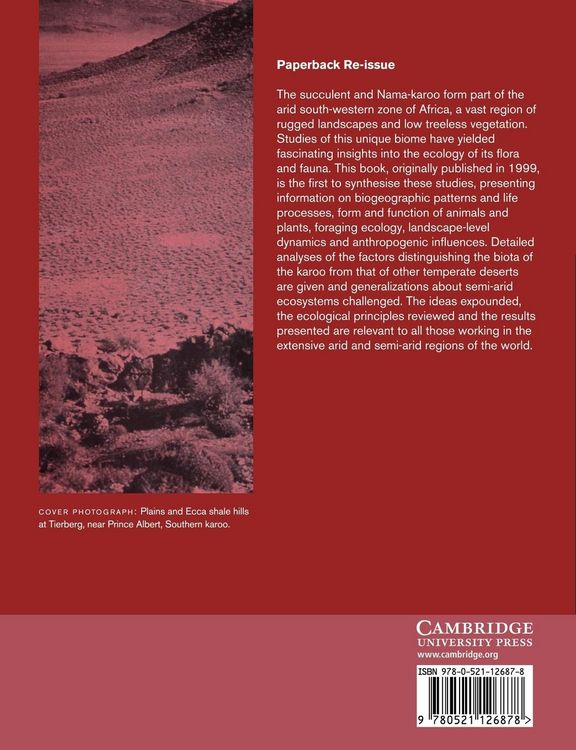 Produktbild: The Karoo