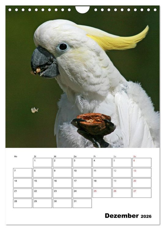 Produktbild: Papageien - Graupapagei, Rosella und Co. (Wandkalender 2026 DIN A4 hoch), CALVENDO Monatskalender