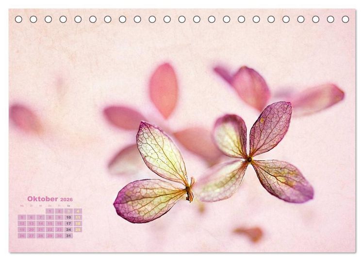 Produktbild: Zauberhafte Bl&uuml;ten (Tischkalender 2026 DIN A5 quer), CALVENDO Monatskalender