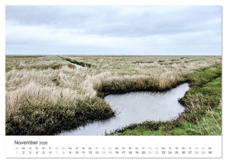Produktbild: Hamburger Hallig - Der Weg ist das Ziel (Wandkalender 2026 DIN A3 quer), CALVENDO Monatskalender