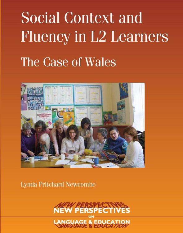 Produktbild: Social Context and Fluency in L2 Learners