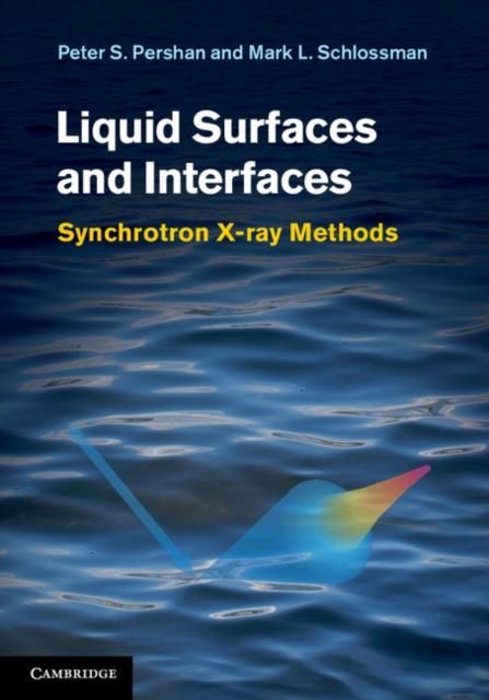 Produktbild: Liquid Surfaces and Interfaces