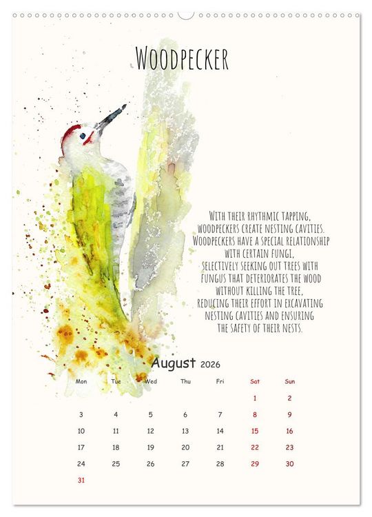 Produktbild: Symbiosis, the story of collaborations in nature (High Quality Premium Wall Calendar 2026 DIN A2 portrait),CALVENDO 12 Month Wall Calendar